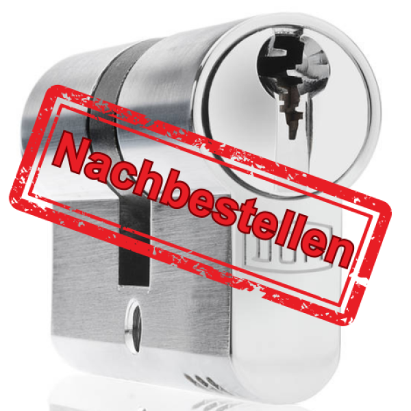 Zylinder Nachbestellen DOM RS8